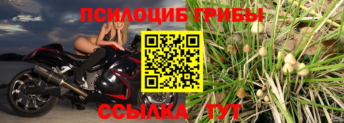 Тулун  Псилоцибиновые грибы мухоморы  Вход с VPN 